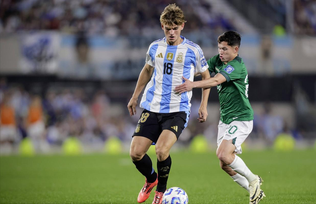 表现奠定了 表现奠定了