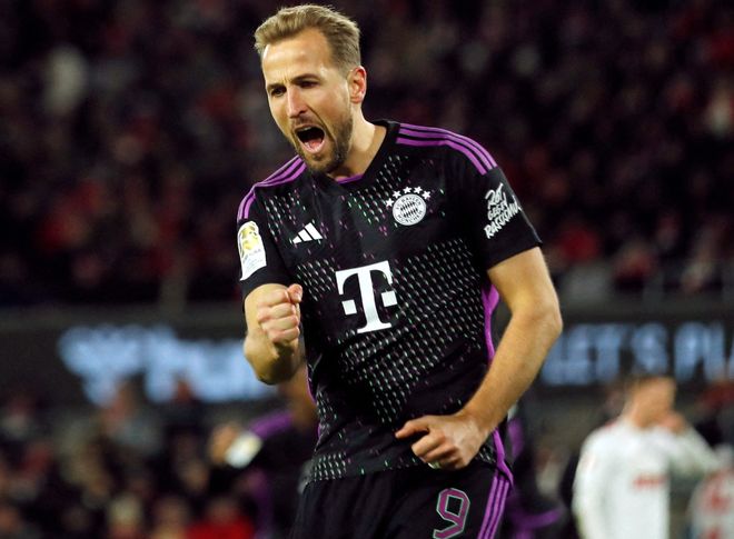 仅增强了多 仅增强了多