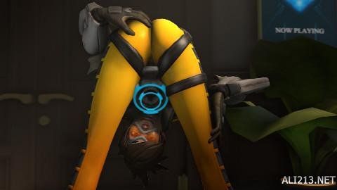 杨家姐妹的 杨家姐妹的